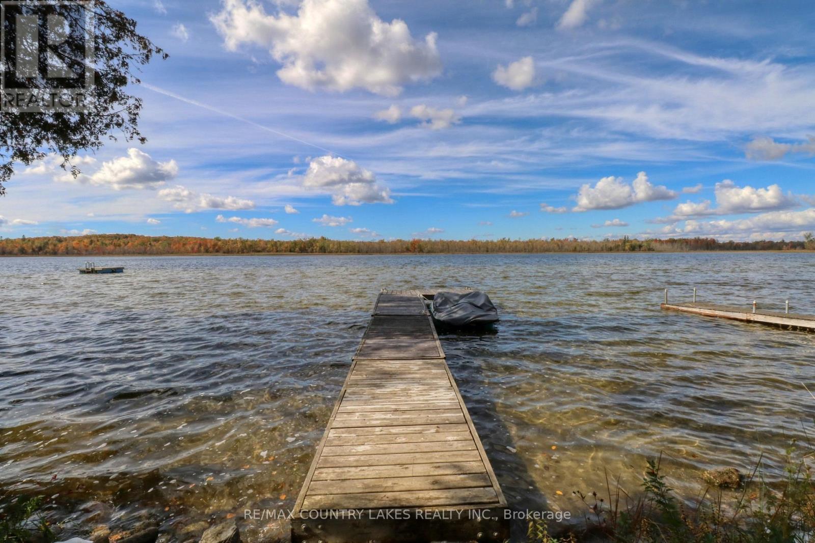6 Greenwood Road, Kawartha Lakes, ON photo 18