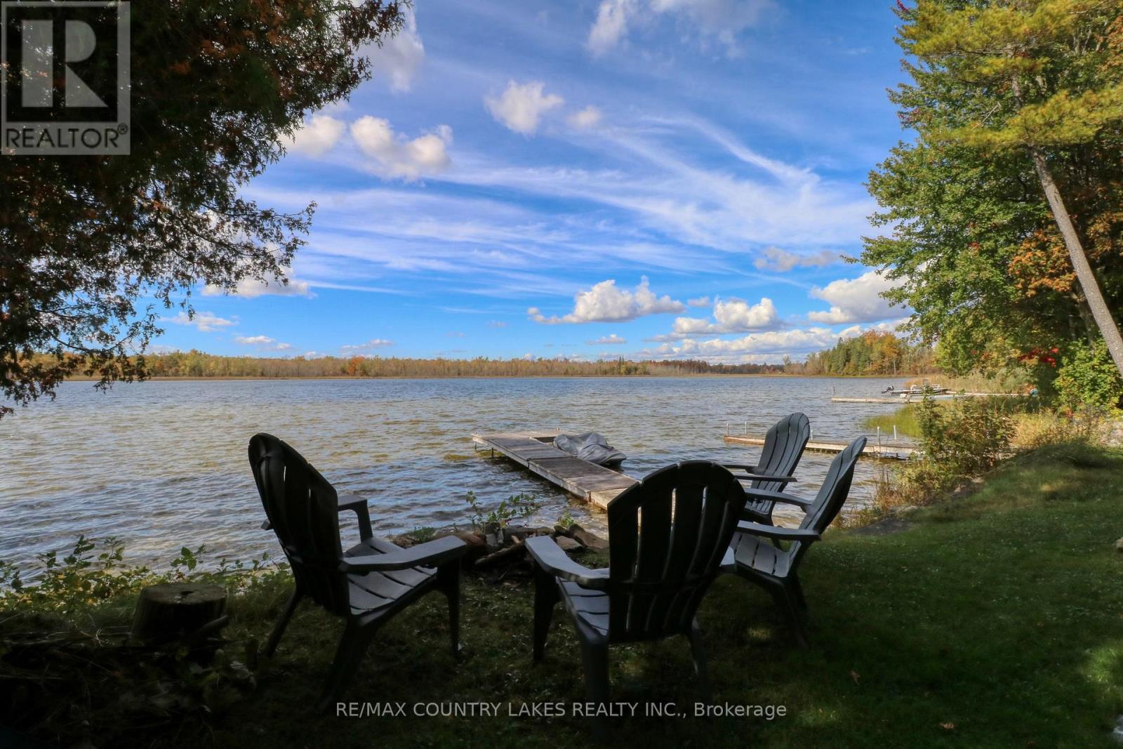 6 Greenwood Road, Kawartha Lakes, ON photo 20