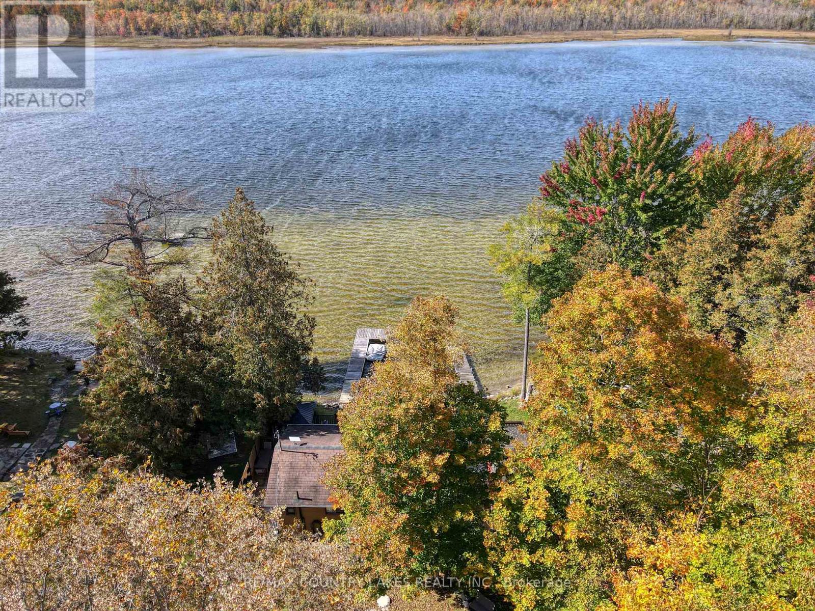 6 Greenwood Road, Kawartha Lakes, ON photo 21