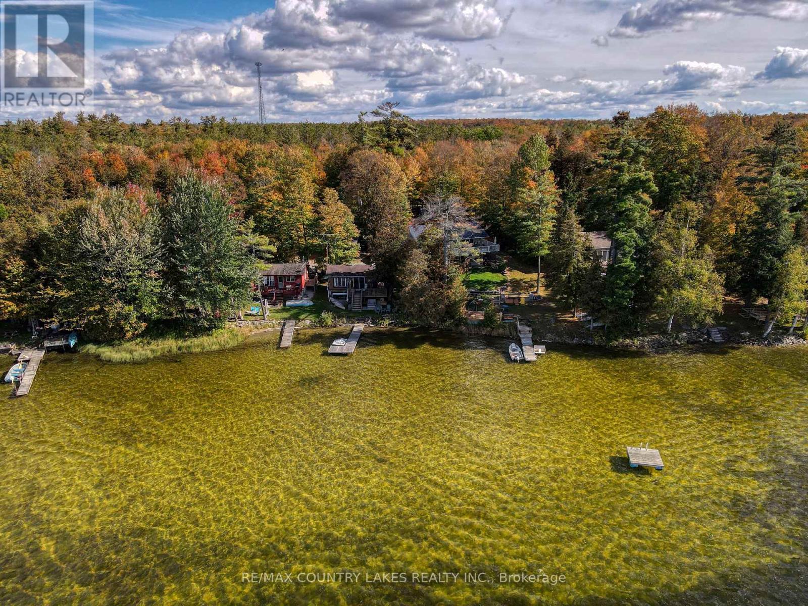 6 Greenwood Road, Kawartha Lakes, ON photo 22