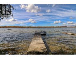 6 Greenwood Road, Kawartha Lakes, ON K0M2B0 Photo 18