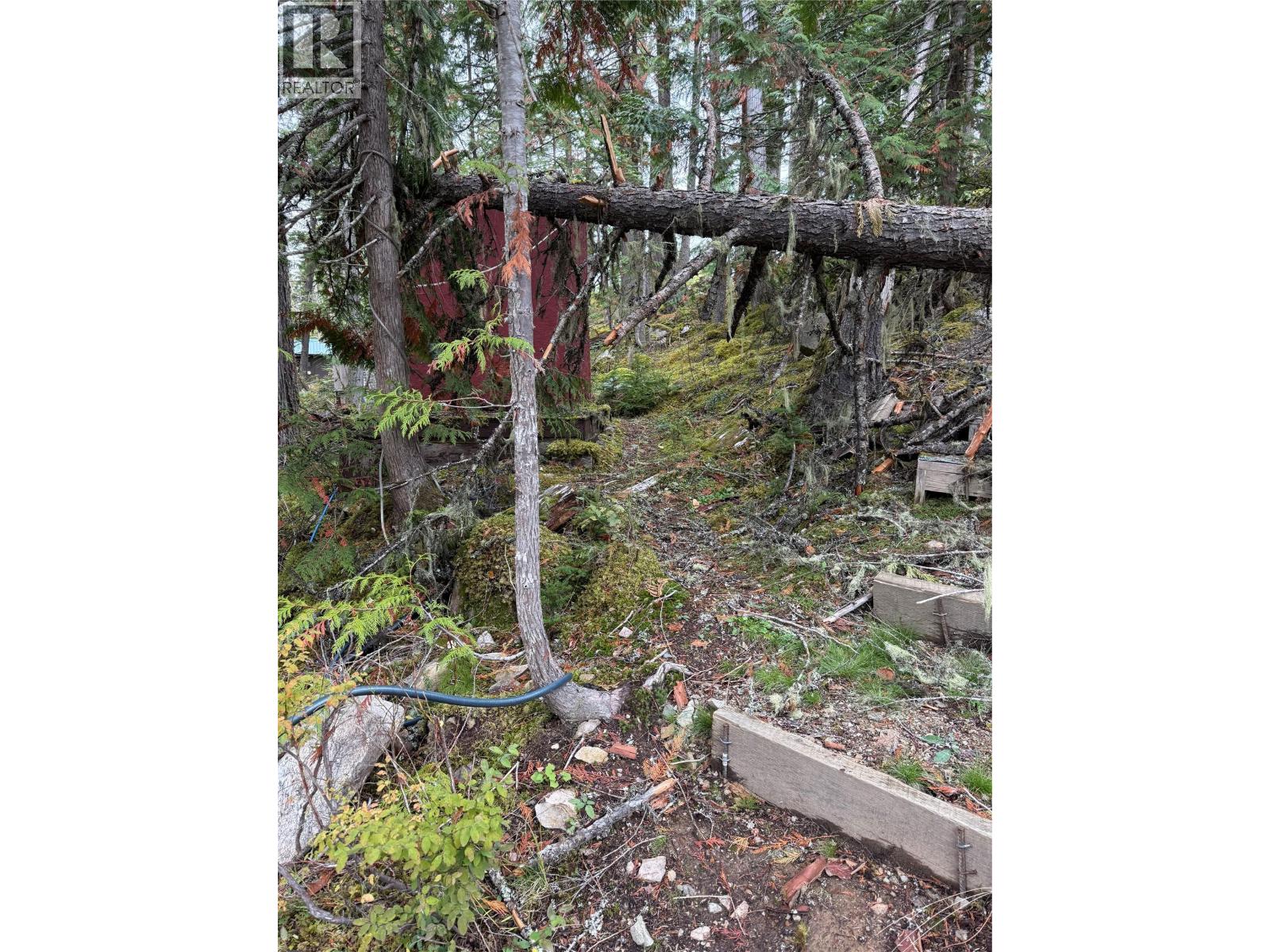 912 Bradley Road, Seymour Arm