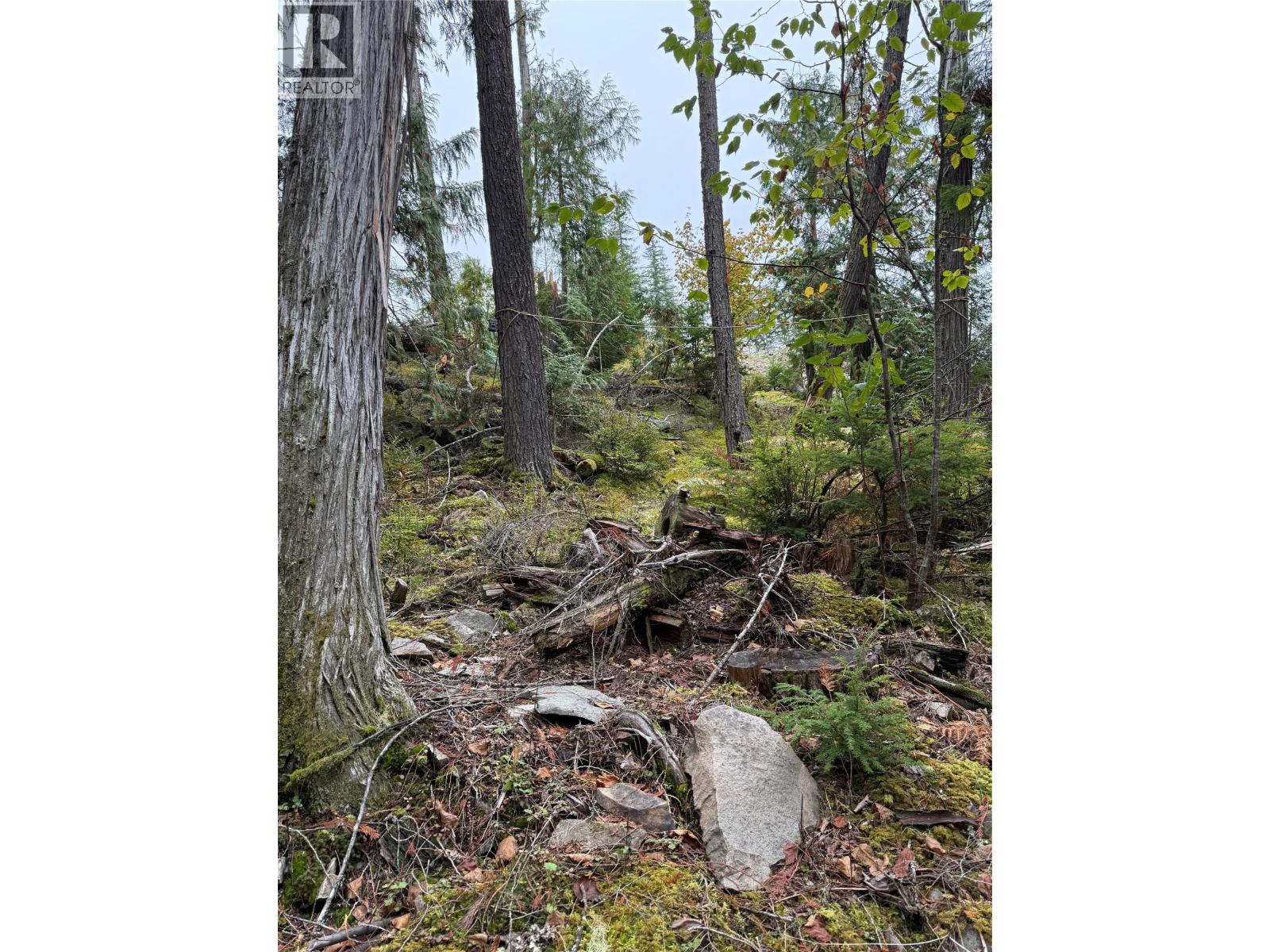 912 Bradley Road, Seymour Arm