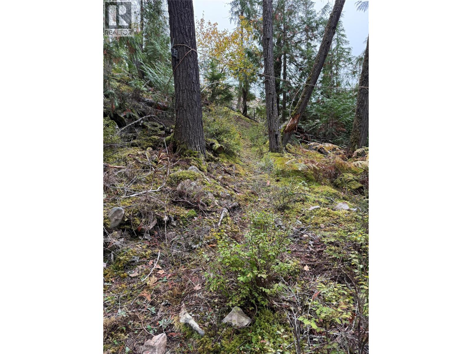 912 Bradley Road, Seymour Arm
