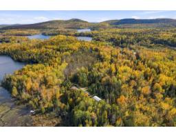 12 Ch. Nevins, Blue Sea, QC J0X1C0 Photo 50