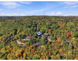 388 Ch. Braulière, Montebello, QC J0V1L0 Photo 59