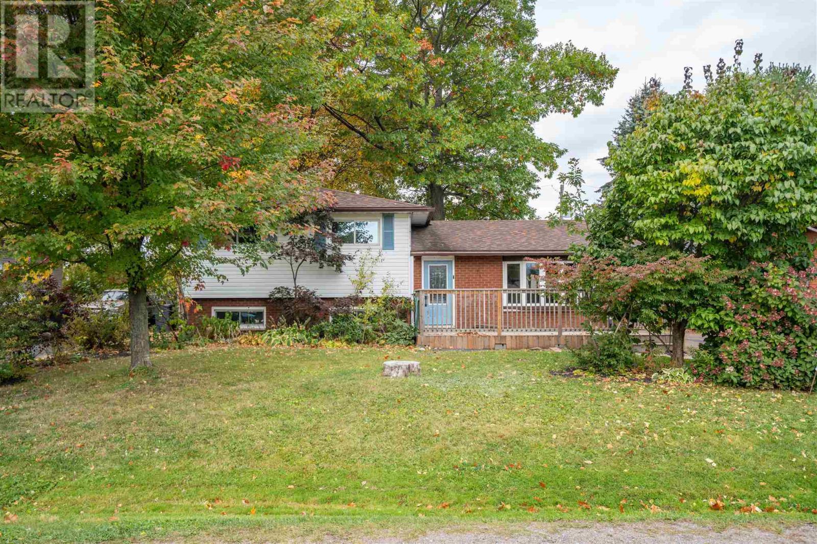 41 Peach DR - 1