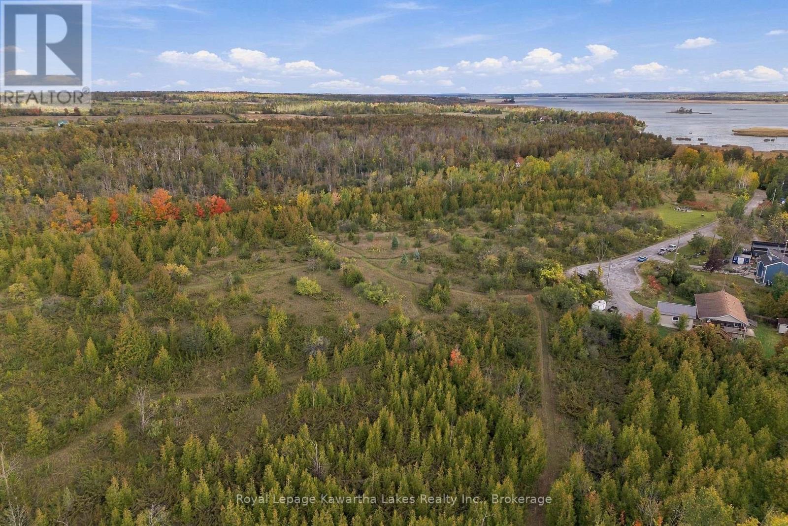 Pt Lt 17 Southside Road, Kawartha Lakes, ON photo 11