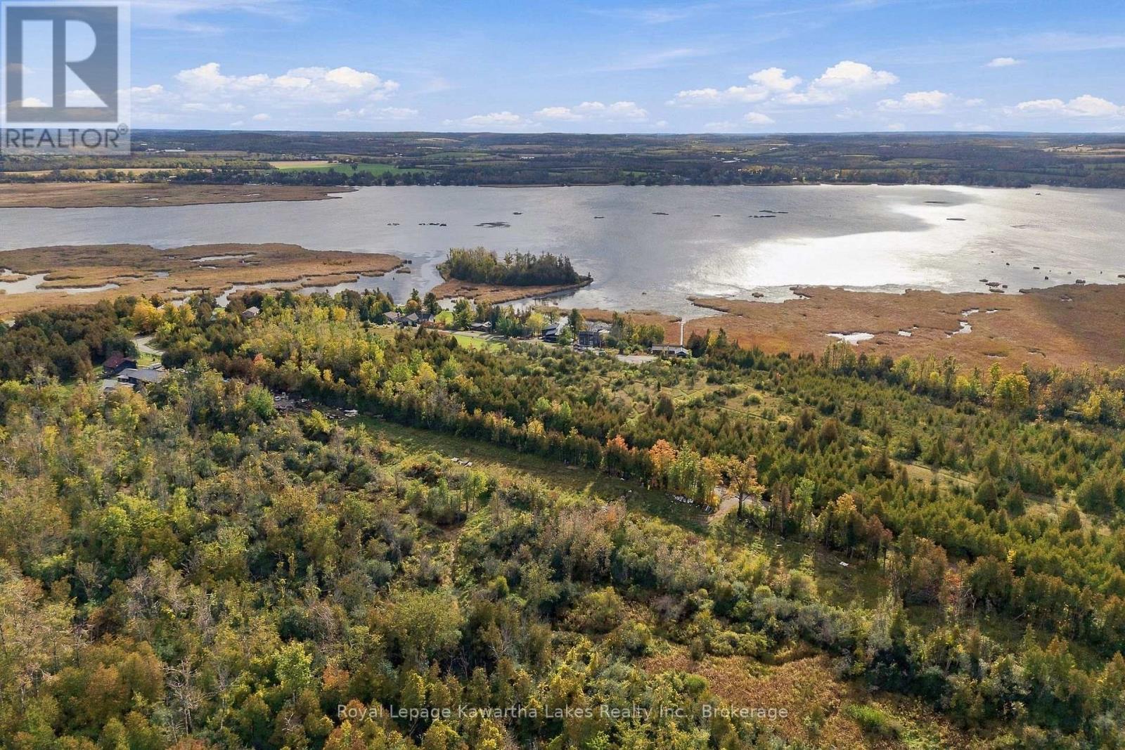 Pt Lt 17 Southside Road, Kawartha Lakes, ON photo 14