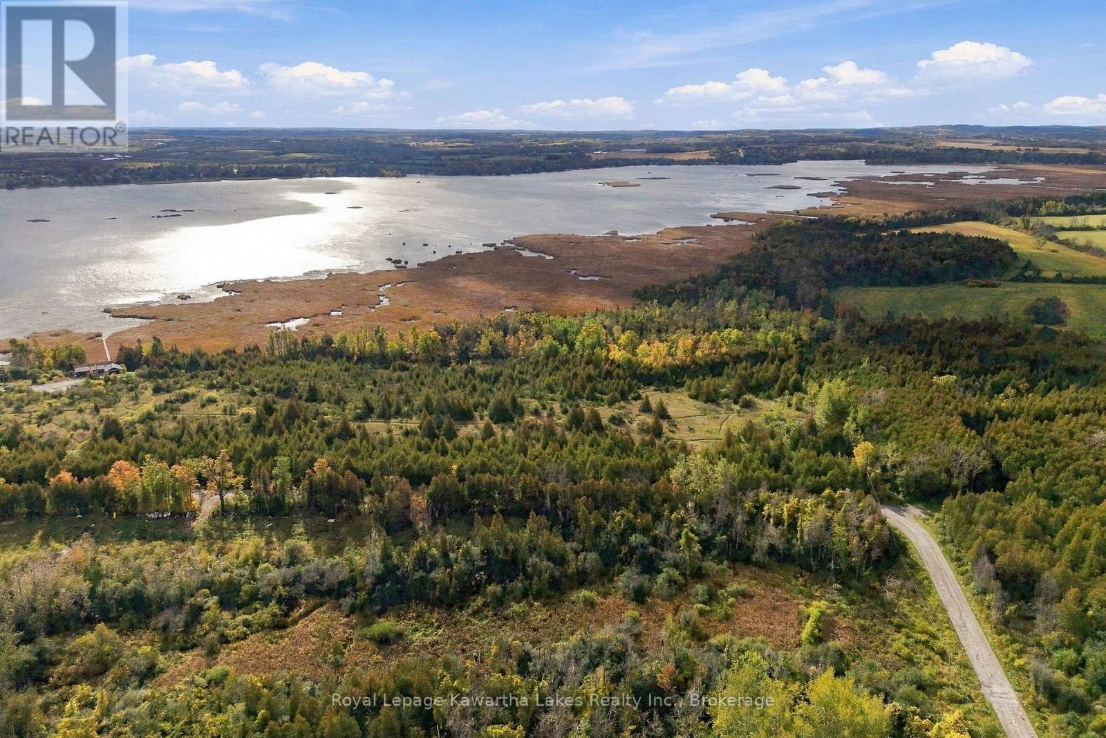 Pt Lt 17 Southside Road, Kawartha Lakes, ON photo 15