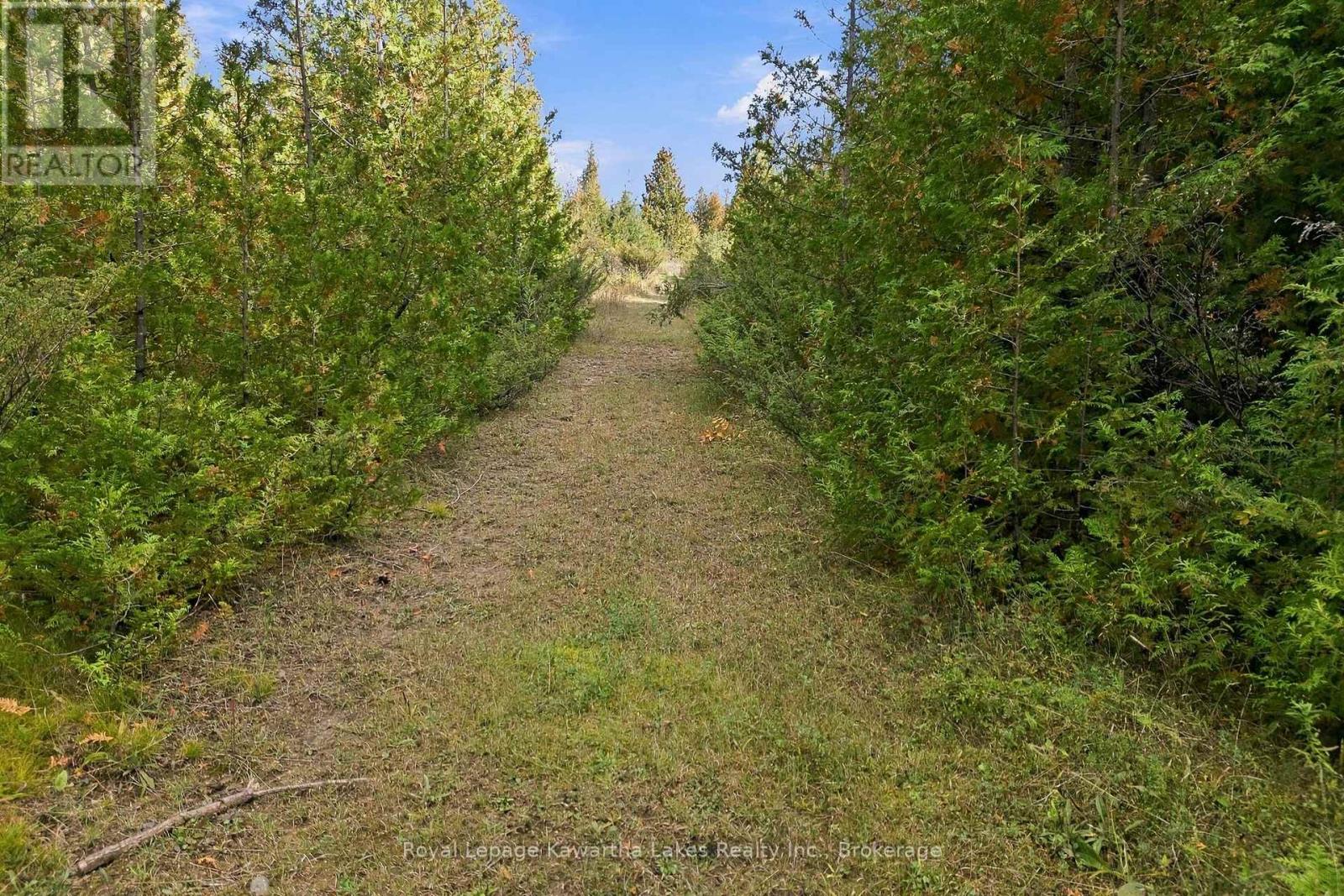 Pt Lt 17 Southside Road, Kawartha Lakes, ON photo 18