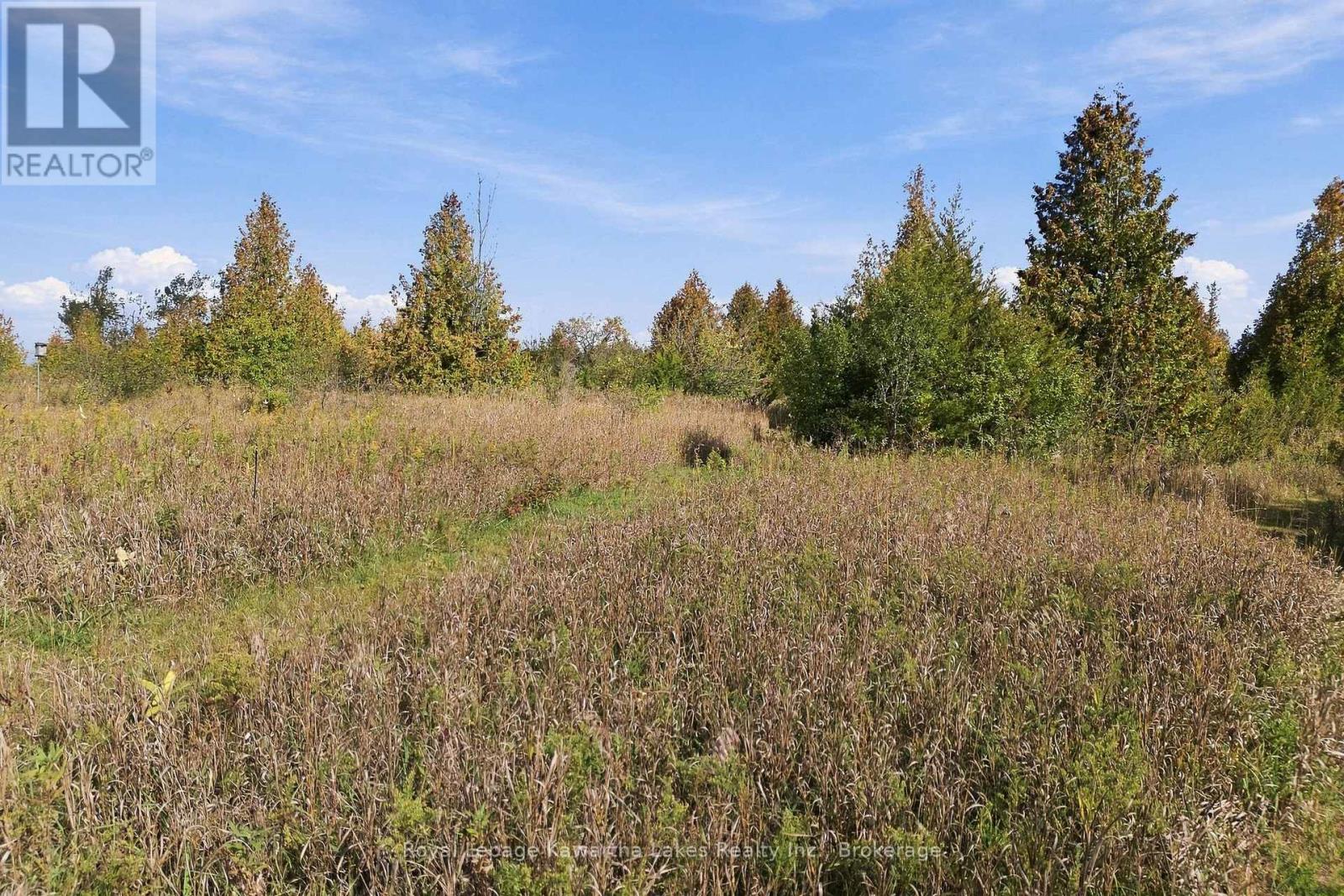 Pt Lt 17 Southside Road, Kawartha Lakes, ON photo 19