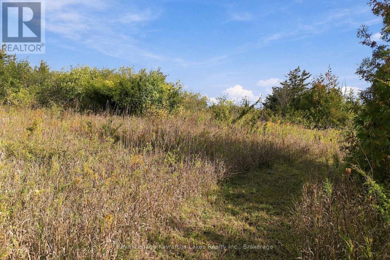 Pt Lt 17 Southside Road, Kawartha Lakes, ON photo 21