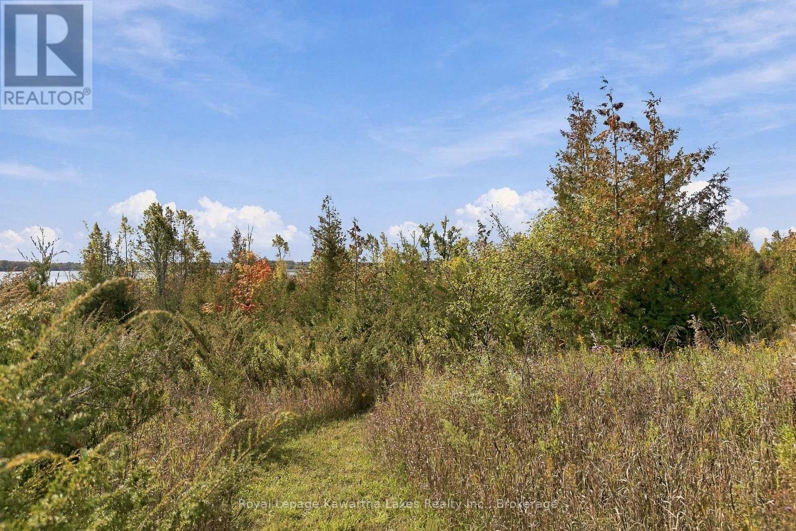 Pt Lt 17 Southside Road, Kawartha Lakes, ON photo 22
