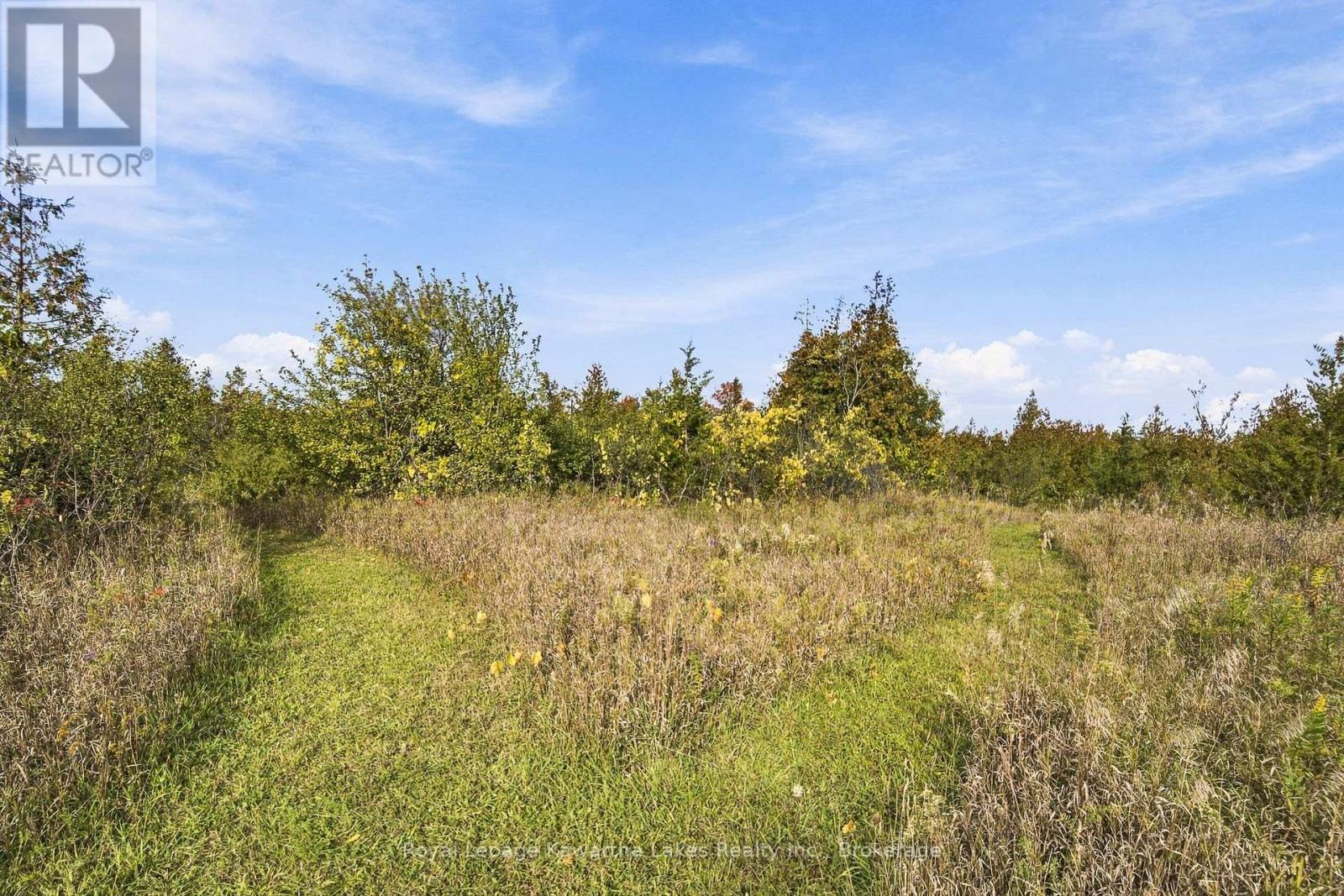 Pt Lt 17 Southside Road, Kawartha Lakes, ON photo 26