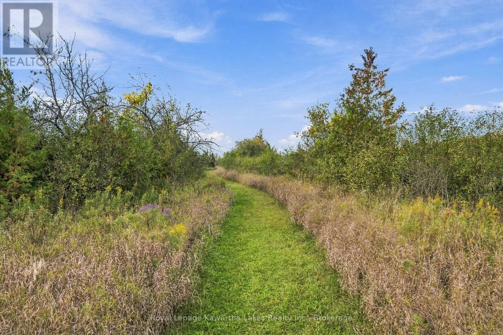 Pt Lt 17 Southside Road, Kawartha Lakes, ON photo 28