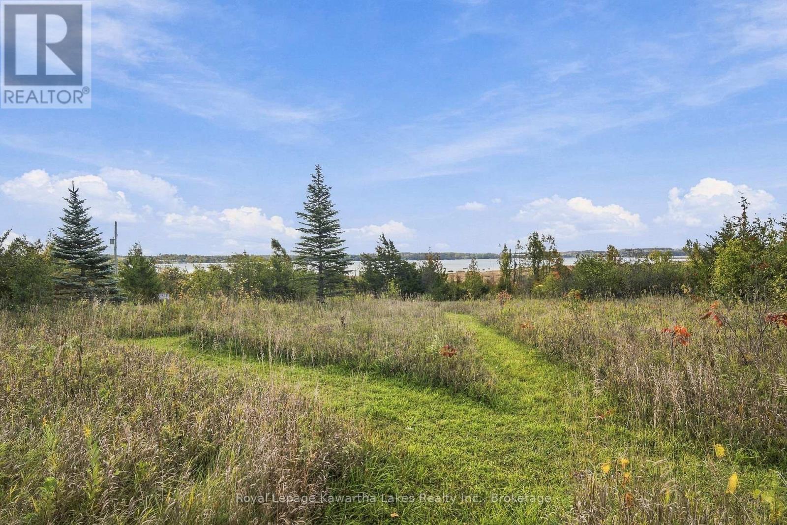 Pt Lt 17 Southside Road, Kawartha Lakes, ON photo 29