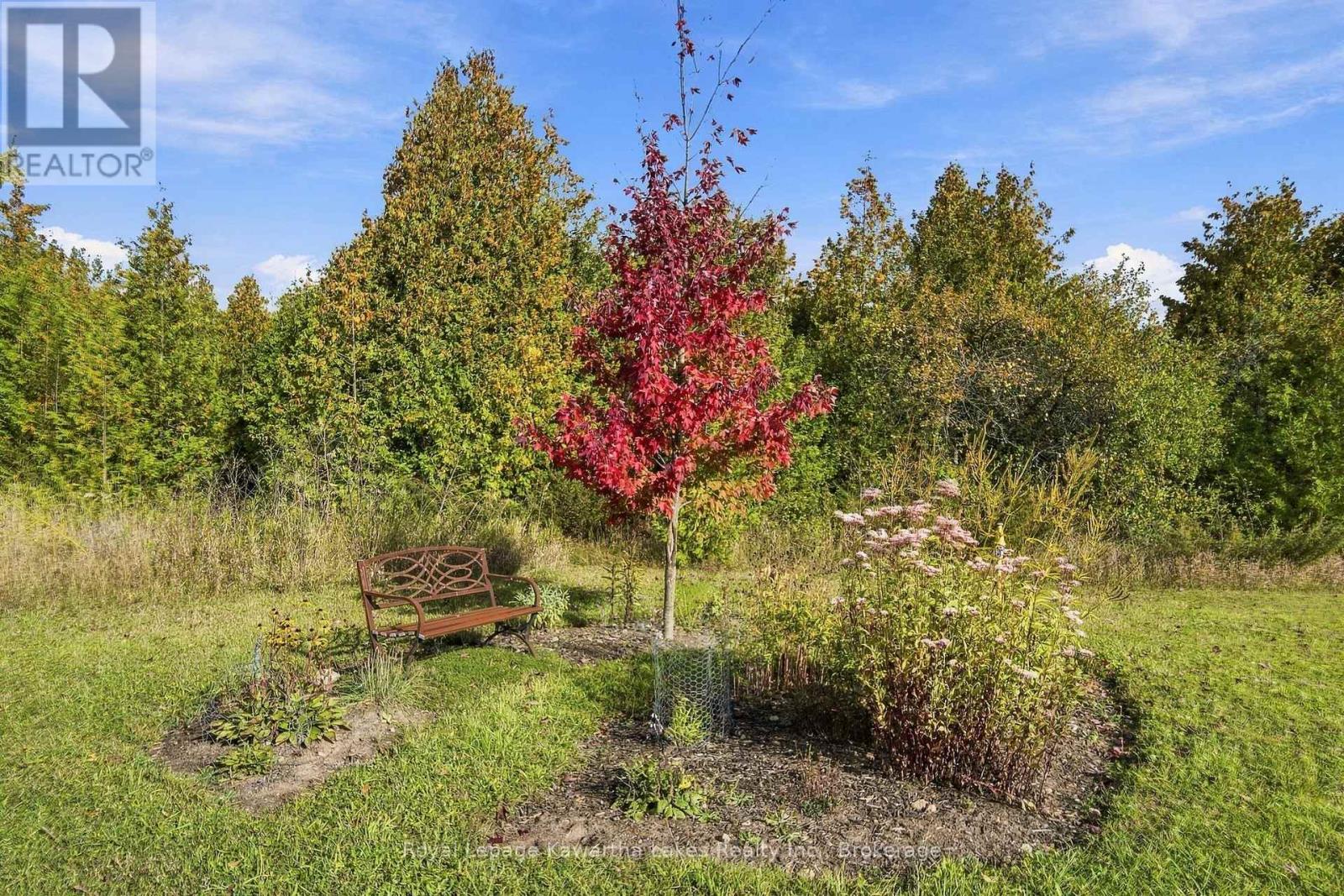 Pt Lt 17 Southside Road, Kawartha Lakes, ON photo 30