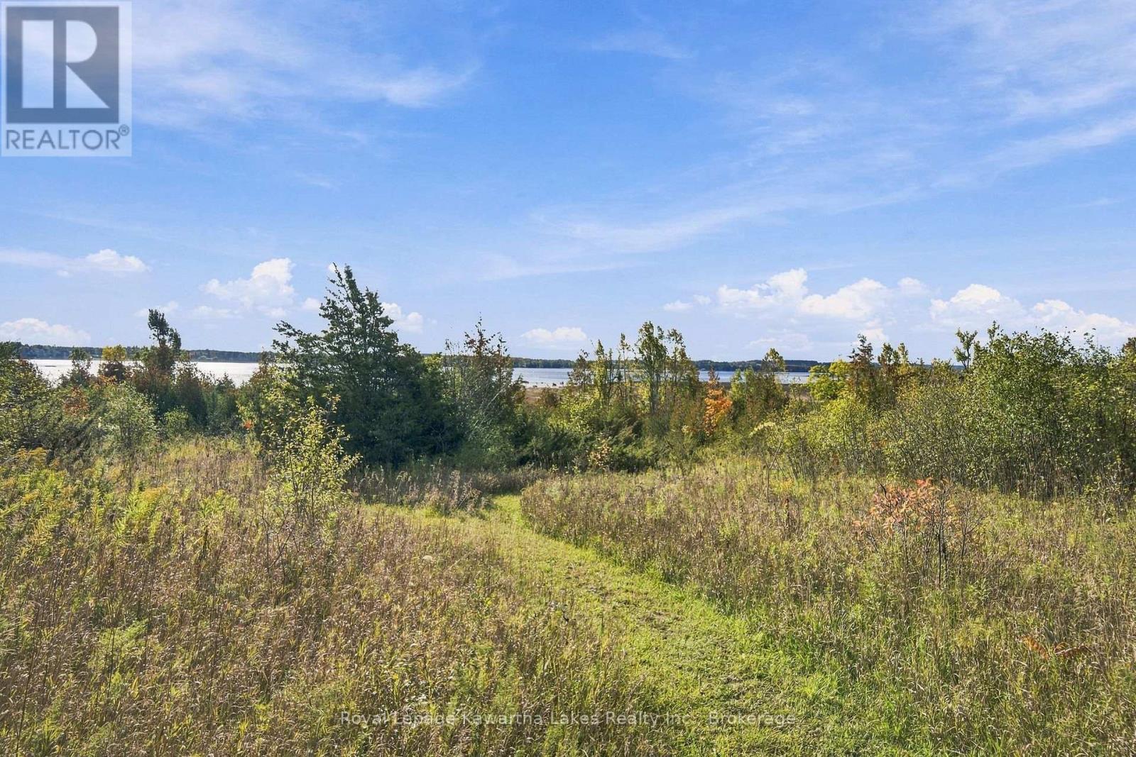 Pt Lt 17 Southside Road, Kawartha Lakes, ON photo 31