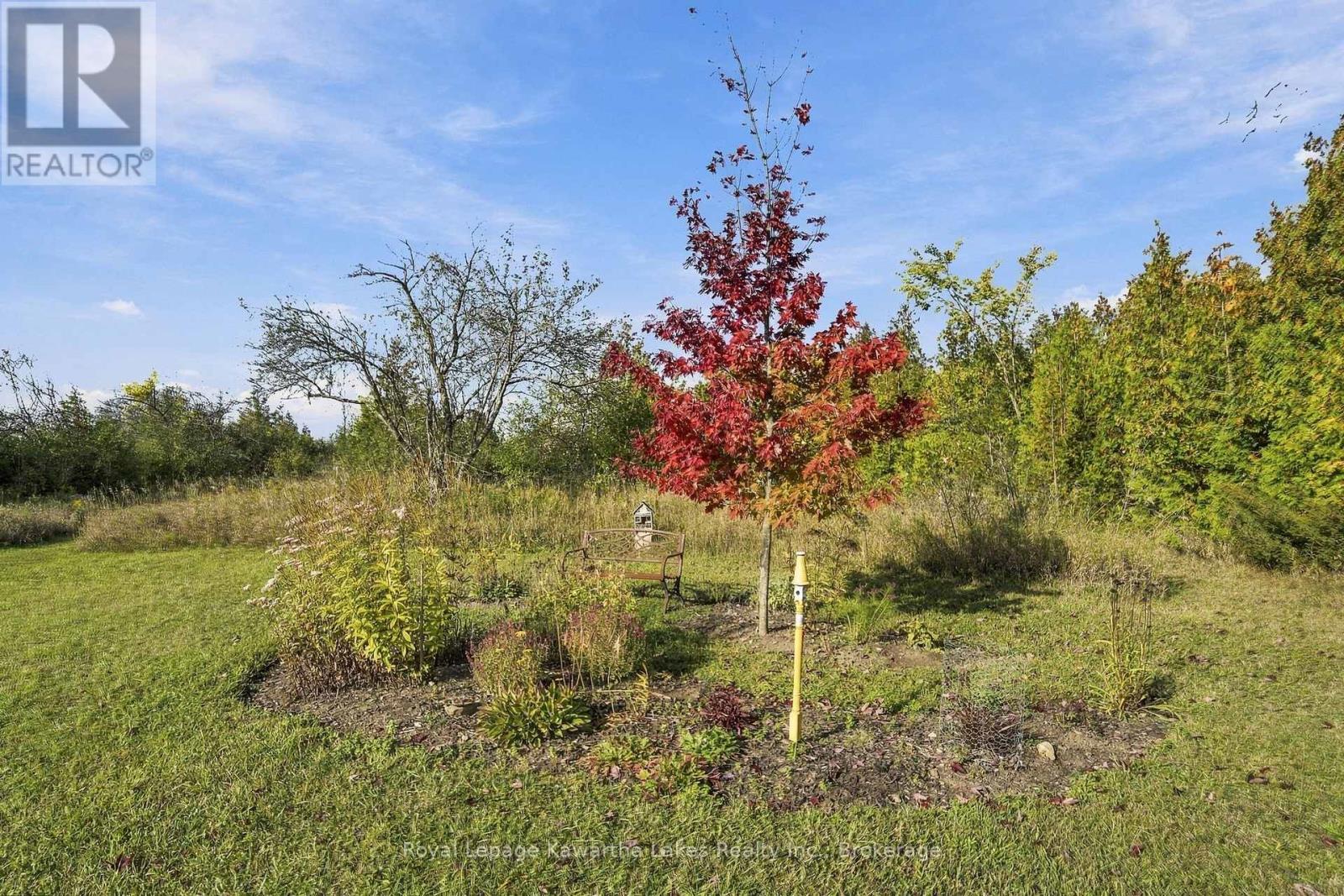 Pt Lt 17 Southside Road, Kawartha Lakes, ON photo 33