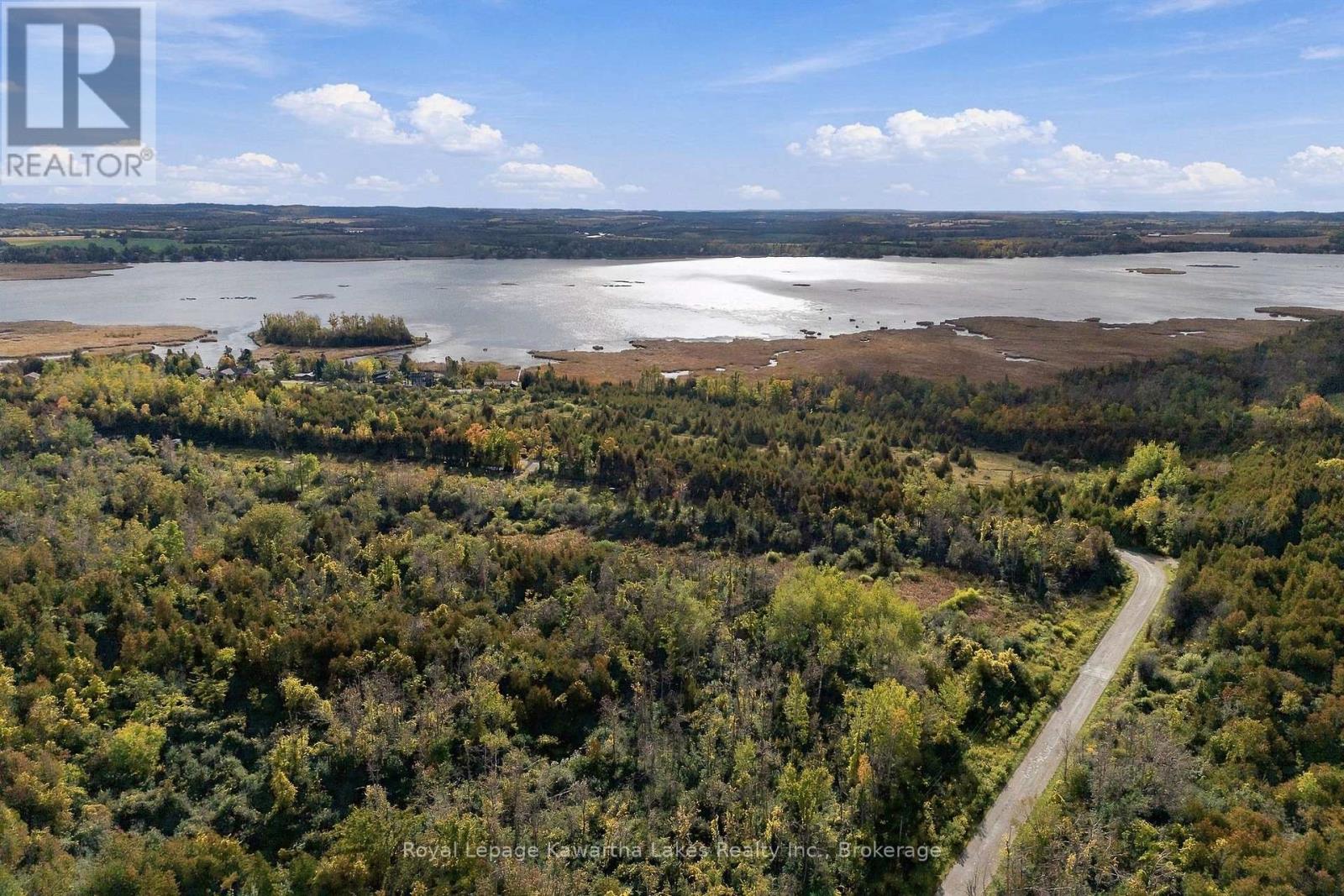 Pt Lt 17 Southside Road, Kawartha Lakes, ON photo 38