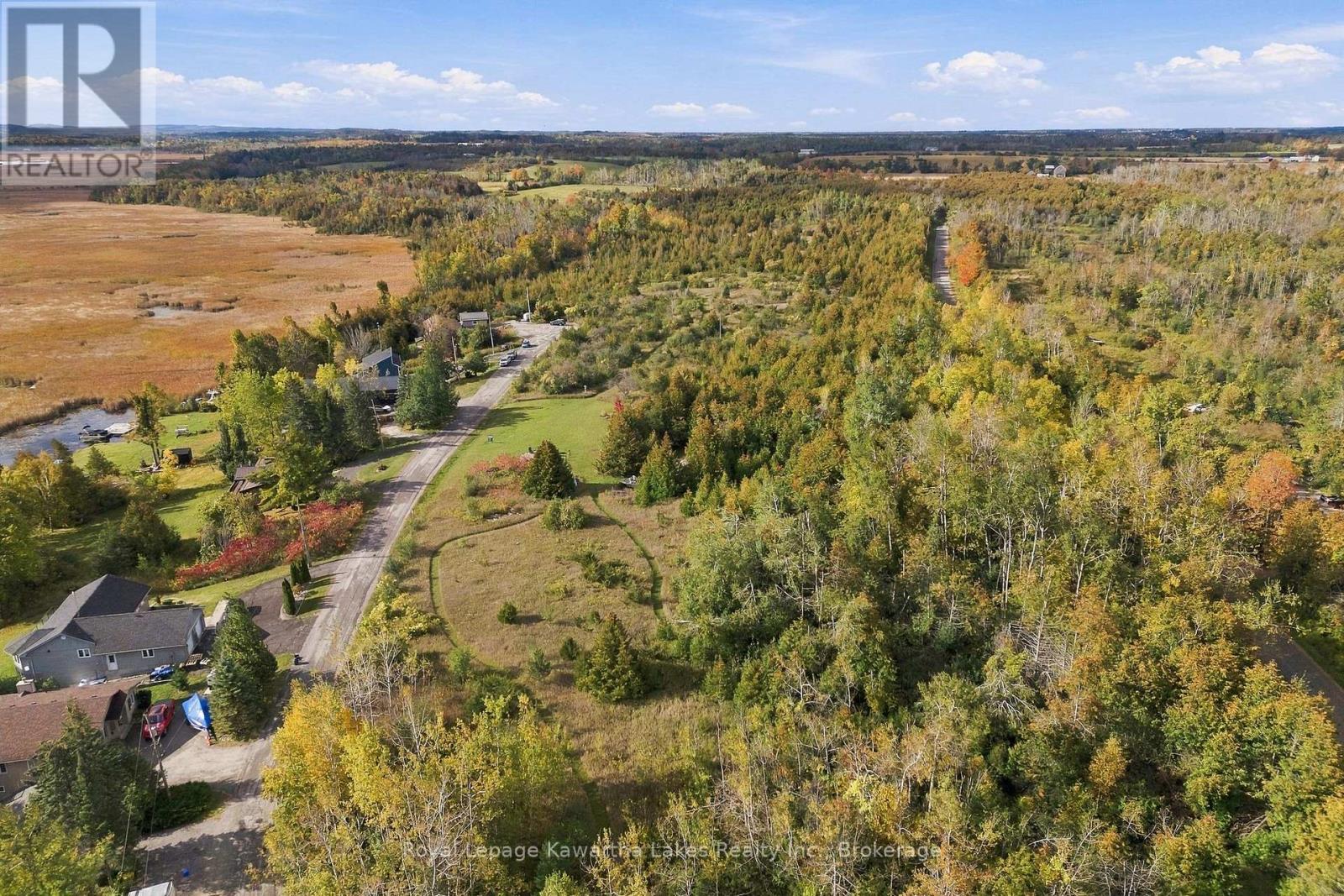 Pt Lt 17 Southside Road, Kawartha Lakes, ON photo 6