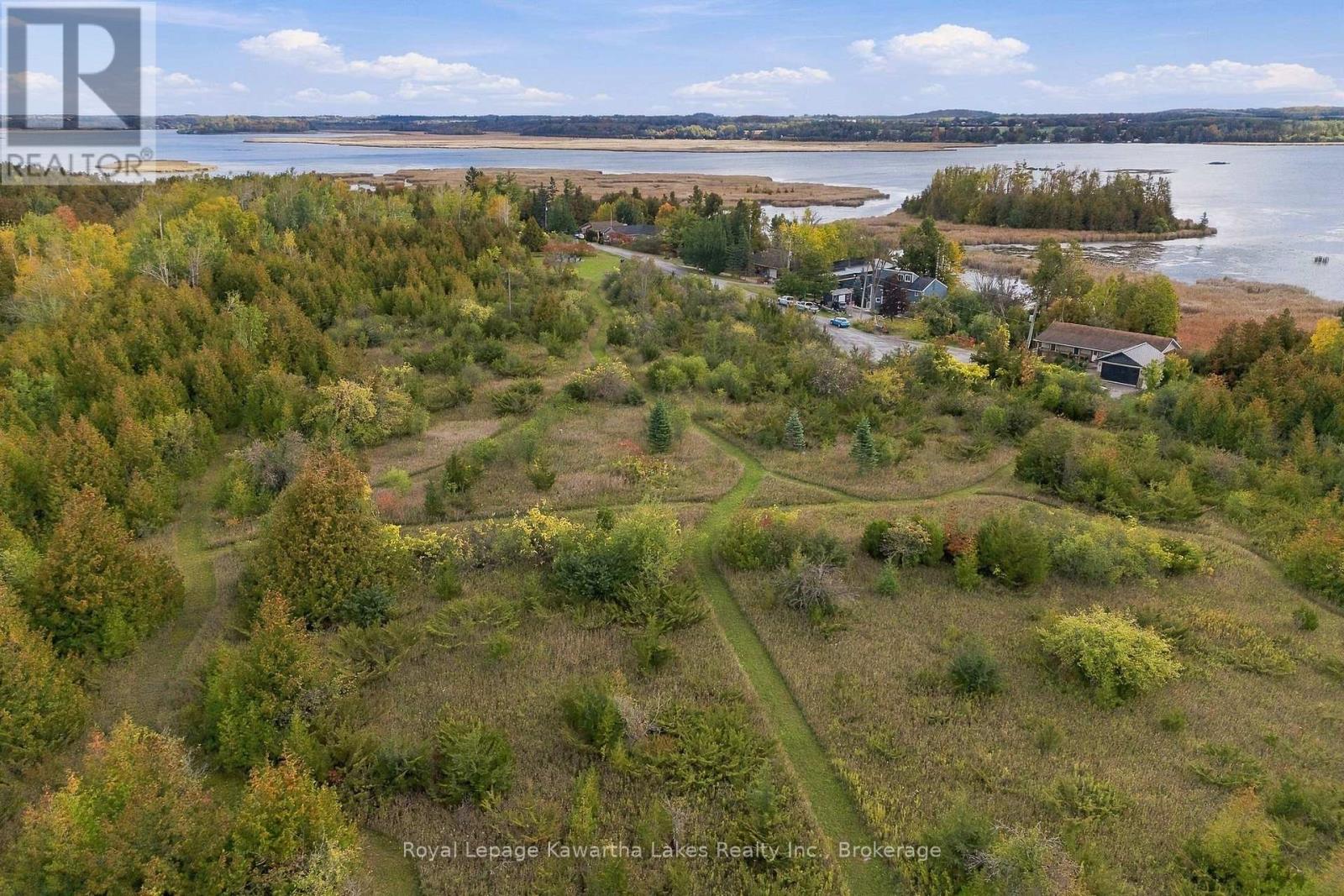 Pt Lt 17 Southside Road, Kawartha Lakes, ON photo 8