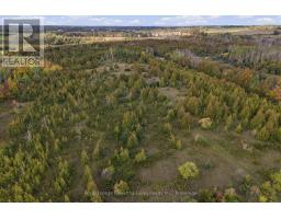 Pt Lt 17 Southside Road, Kawartha Lakes, ON K9V4R5 Photo 10