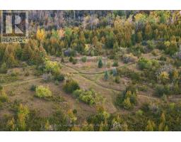 Pt Lt 17 Southside Road, Kawartha Lakes, ON K9V4R5 Photo 12
