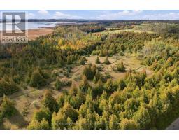 Pt Lt 17 Southside Road, Kawartha Lakes, ON K9V4R5 Photo 13