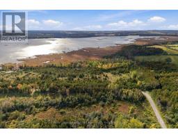 Pt Lt 17 Southside Road, Kawartha Lakes, ON K9V4R5 Photo 15