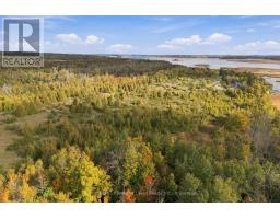 Pt Lt 17 Southside Road, Kawartha Lakes, ON K9V4R5 Photo 17
