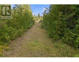 Pt Lt 17 Southside Road, Kawartha Lakes, ON K9V4R5 Photo 18