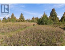 Pt Lt 17 Southside Road, Kawartha Lakes, ON K9V4R5 Photo 19