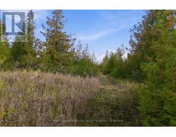 Pt Lt 17 Southside Road, Kawartha Lakes, ON K9V4R5 Photo 20
