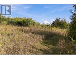 Pt Lt 17 Southside Road, Kawartha Lakes, ON K9V4R5 Photo 21