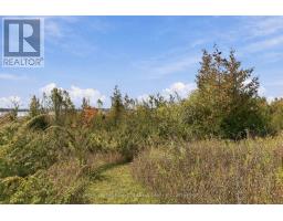 Pt Lt 17 Southside Road, Kawartha Lakes, ON K9V4R5 Photo 22