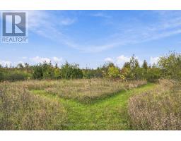 Pt Lt 17 Southside Road, Kawartha Lakes, ON K9V4R5 Photo 25