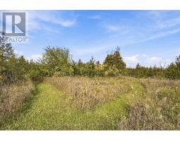 Pt Lt 17 Southside Road, Kawartha Lakes, ON K9V4R5 Photo 26