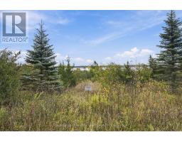 Pt Lt 17 Southside Road, Kawartha Lakes, ON K9V4R5 Photo 27