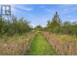 Pt Lt 17 Southside Road, Kawartha Lakes, ON K9V4R5 Photo 28
