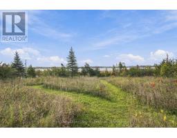 Pt Lt 17 Southside Road, Kawartha Lakes, ON K9V4R5 Photo 29