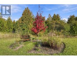 Pt Lt 17 Southside Road, Kawartha Lakes, ON K9V4R5 Photo 30