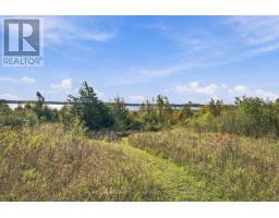 Pt Lt 17 Southside Road, Kawartha Lakes, ON K9V4R5 Photo 31