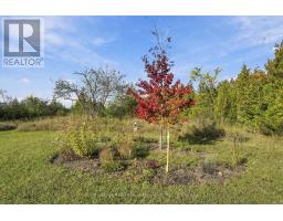 Pt Lt 17 Southside Road, Kawartha Lakes, ON K9V4R5 Photo 33
