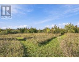 Pt Lt 17 Southside Road, Kawartha Lakes, ON K9V4R5 Photo 34