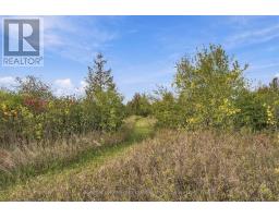 Pt Lt 17 Southside Road, Kawartha Lakes, ON K9V4R5 Photo 35