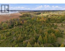 Pt Lt 17 Southside Road, Kawartha Lakes, ON K9V4R5 Photo 36