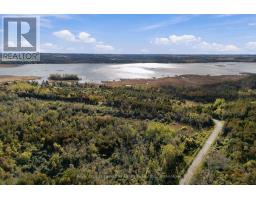 Pt Lt 17 Southside Road, Kawartha Lakes, ON K9V4R5 Photo 38