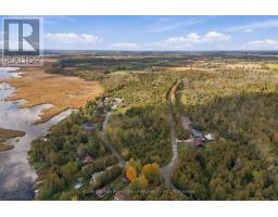 Pt Lt 17 Southside Road, Kawartha Lakes, ON K9V4R5 Photo 40